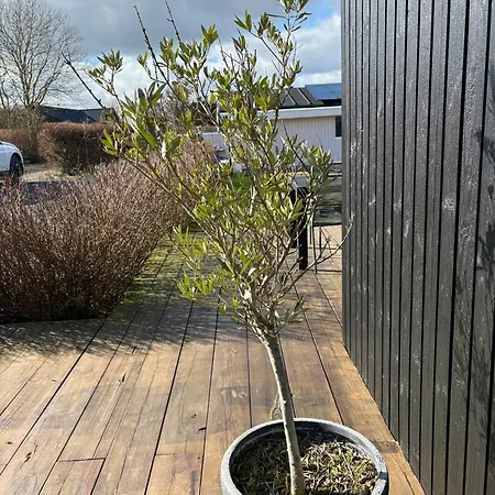 Med Havudsigt Pa Fyn Feriehus Asperup